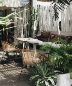 Home and garden